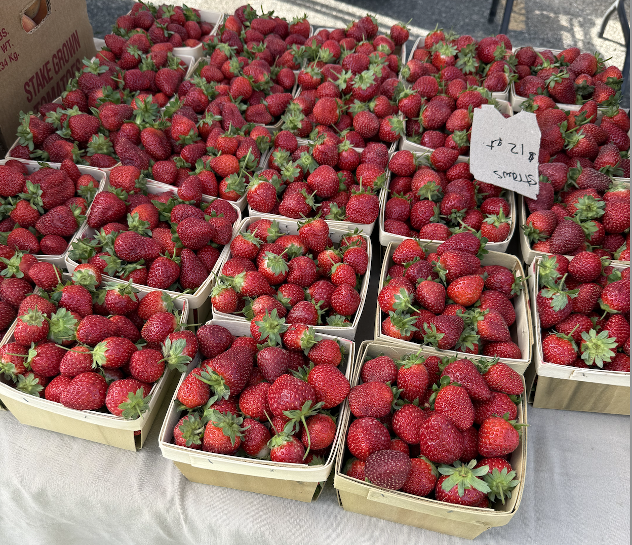 Fresh strawberries, picked this morning.