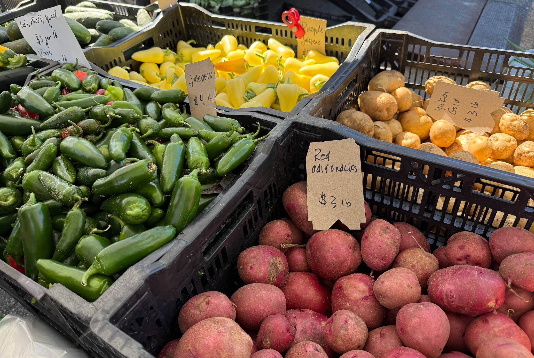 Peppers and fresh-dug potatoes by the crate this week.