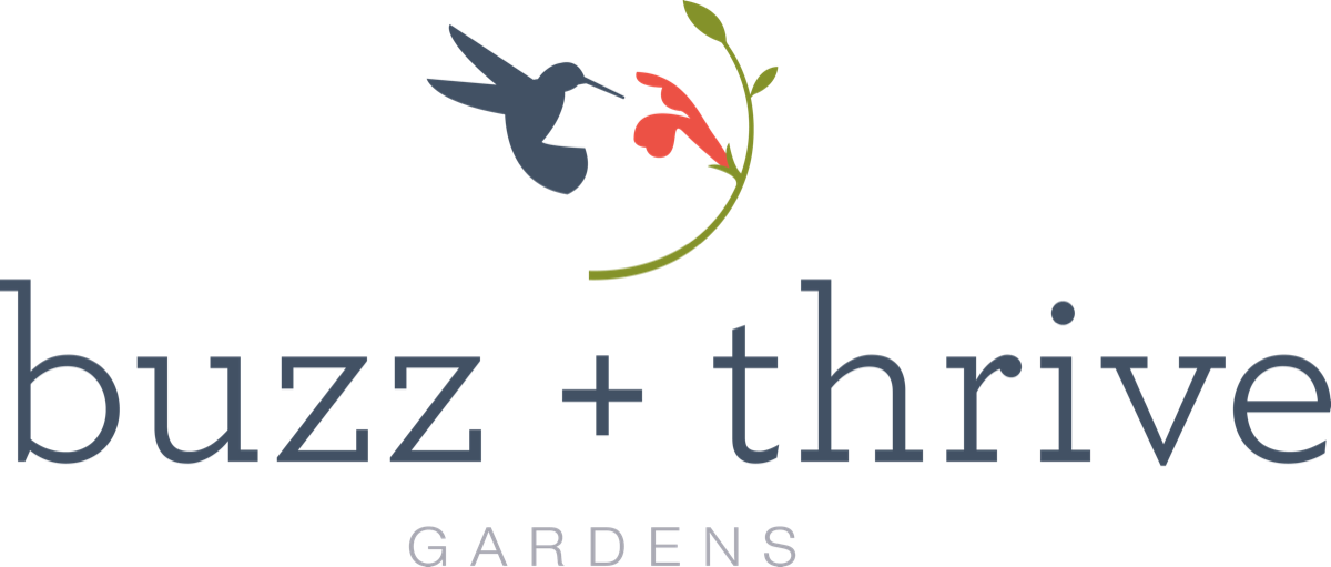 Buzz + Thrive Gardens at the market