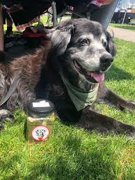 Chappy's Pickles at the market
