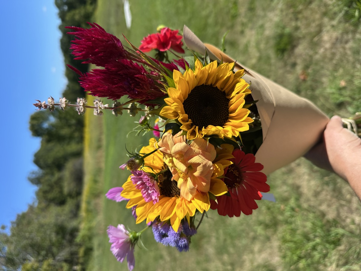 Huckle Hill Flower Farm at the market