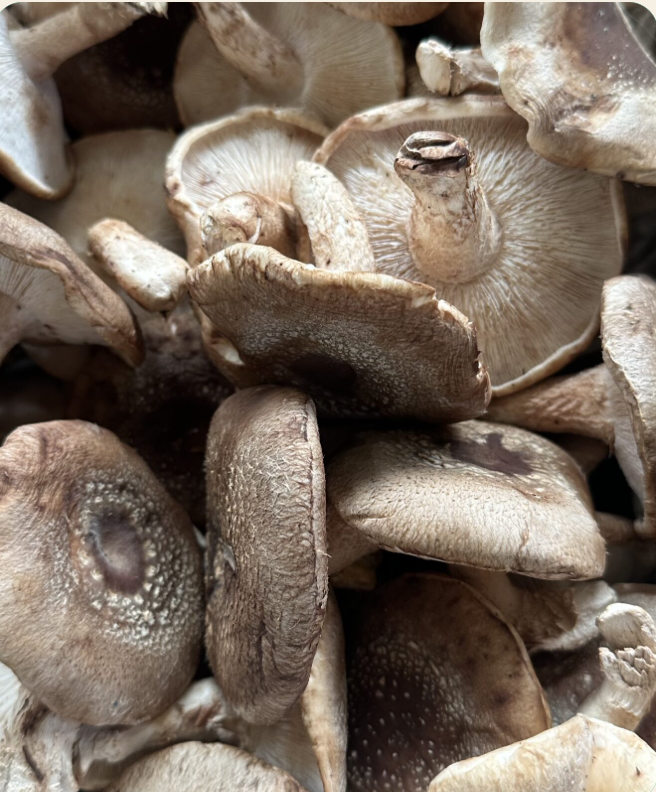 My County Mushrooms at the market