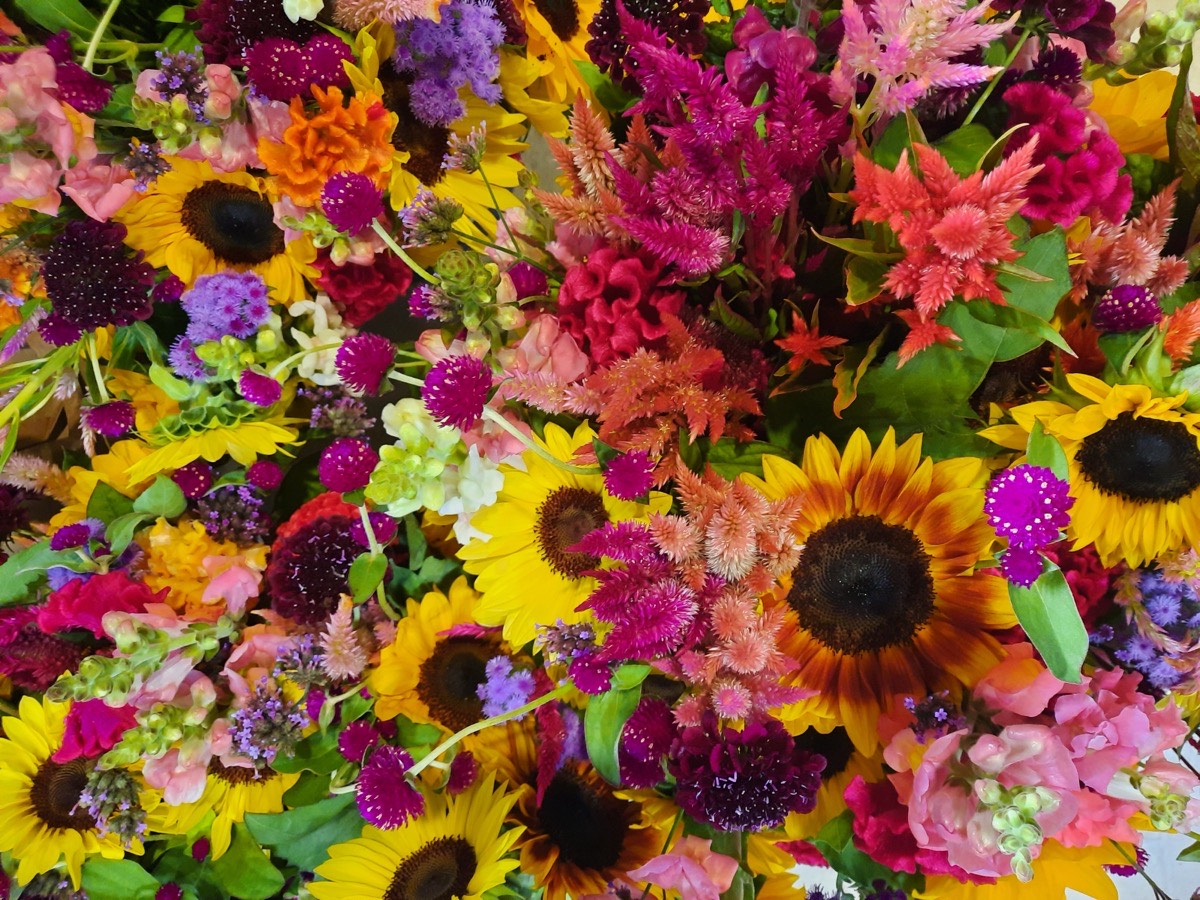 Never Enough Flowers at the market