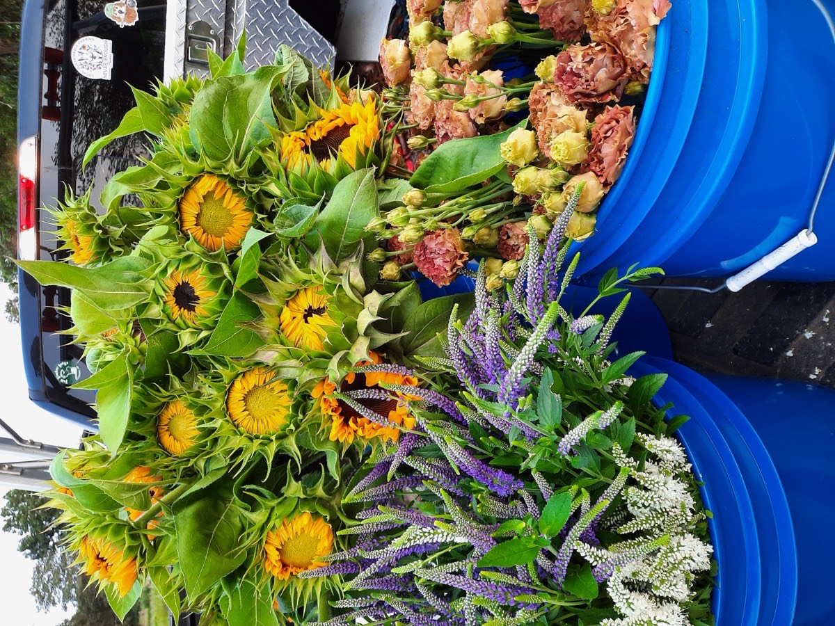 Never Enough Flowers at the market