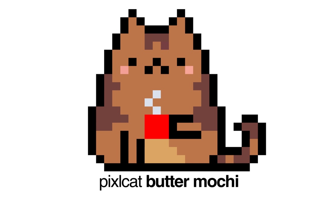Pixlcat Butter Mochi at the market