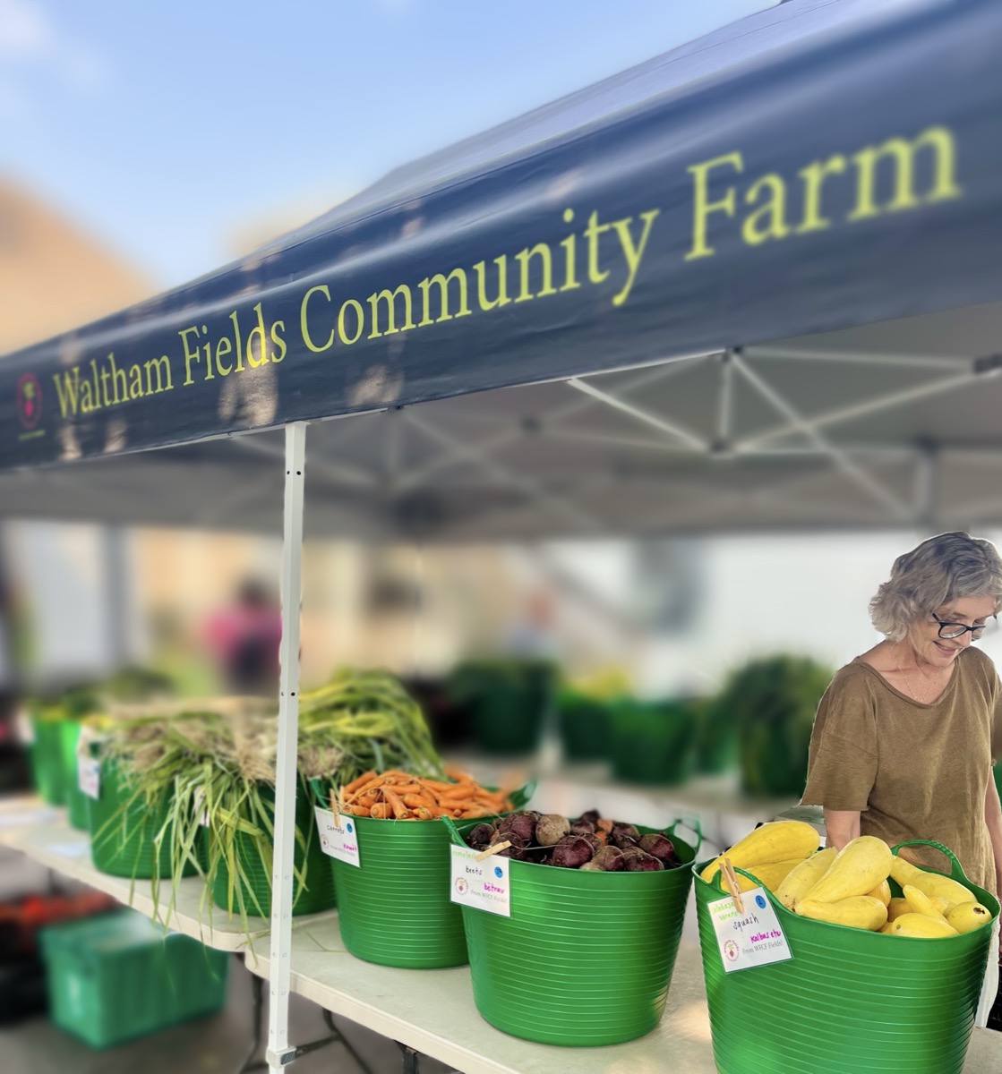 Waltham Fields Community Farm at the market