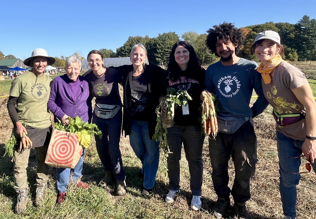 Waltham Fields Community Farm at the market